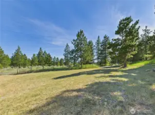 Front yard