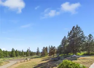 Front yard