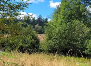Nice open space on property.