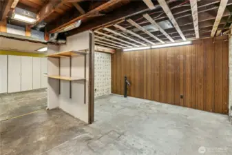 There is so much space and potential on the lower level.