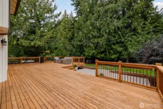 New cedar deck, cafe string lights, patio, mature trees, fenced yard.