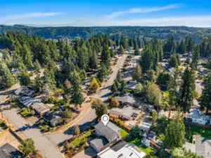 Arial view of Mt. Rainier from above the home.