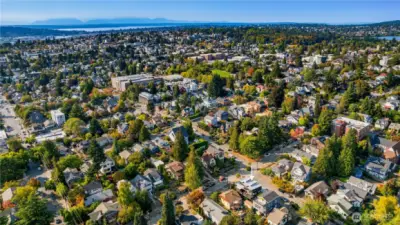 Tree-lined streets emphasize the home’s balance of privacy and urban access.
