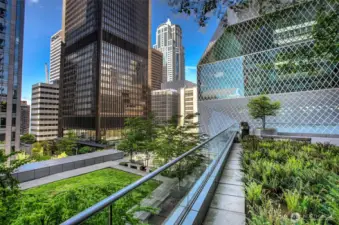 Landscaped outdoor plaza patio with separate green space pet area.