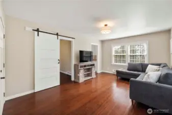 Barn door off great room