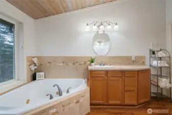 Guest House Bath with soaking dub
