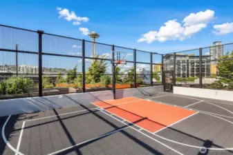 Multi-sport court for basketball, badminton, and pickleball.