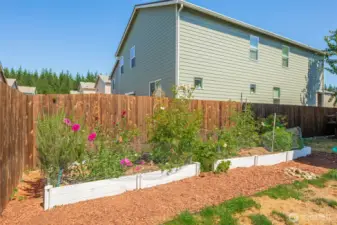 Raised flower/ garden beds