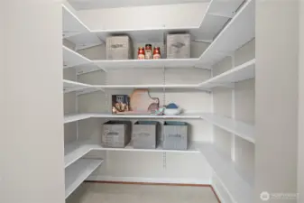 The large walk-in pantry is a game-changer when it comes to organization!