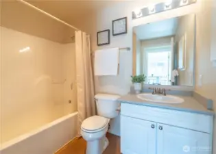Guest full bathroom