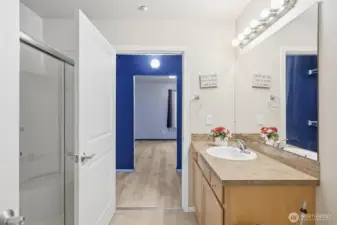 Main bathroom. also a walk-in shower.