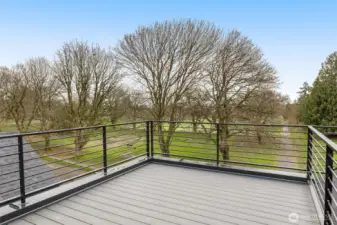 Private rooftop deck with panoramic views of Brighton Playfield.