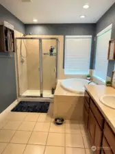 The en suite has soaker tub & large shower.