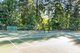 Community Tennis and Pickleball court