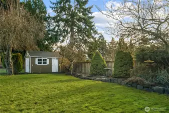 A closer look at the shed with two doors, and some established shrubbery near the back of the yard.