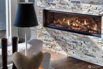 Gas fireplace