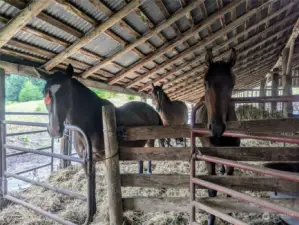 Run In from field all in one very big classic barn