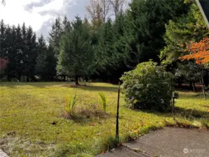 yard