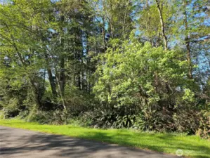 Beautiful, treed lot in a quiet neighborhood.