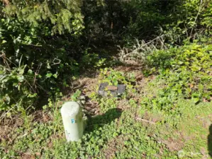 Water meter on property.
