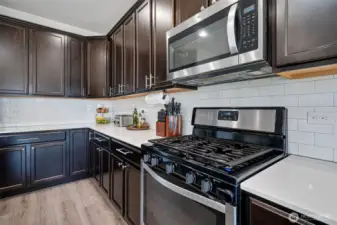 Gas stove