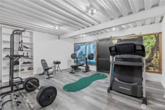 Finished room with storage behind the barn door, perfect home gyms, quilting room, arts and crafts and more!