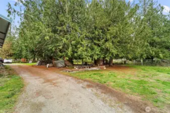 Right side of Massive shop