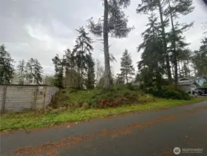 From the North corner of the lot