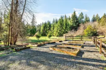 Raised garden beds with integrated watering system.
