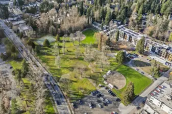 Playfields near the Park