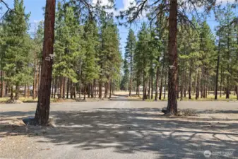 Enjoy your own private 10-acre retreat, beautifully treed and perfect for walking trails, horses, and more.