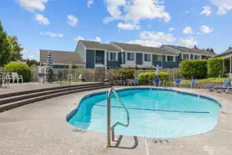 great pool for swimming and sun bathing