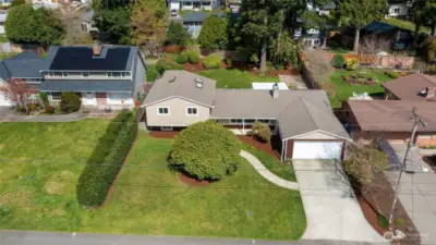 Looking down on the front yard