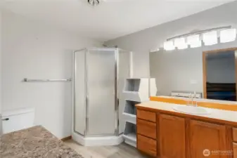 Primary Bath Shower
