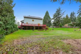 so much privacy with from these big trees