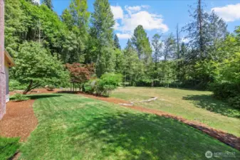 Entertaining Backyard