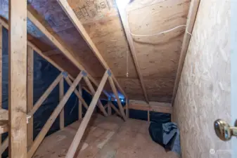 Attic storage hidden in the bedroom closet