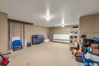 Basement, tons of storage space