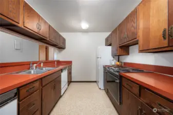 Large galley kitchen. Range to be replaced with new Jenn Air downdraft for those top chef vibes.