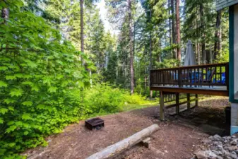 Back and side yard