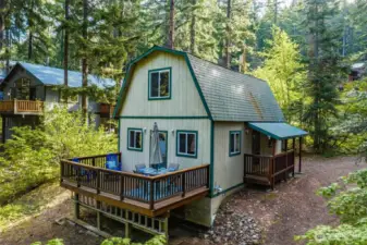 Back deck aerial