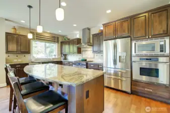 Gourmet kitchen with high end appliances and lots of storage and work space