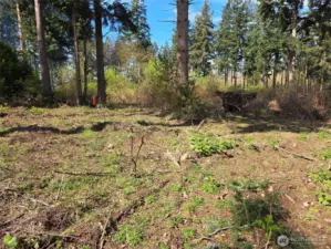Lot is cleared & ready to build. Back of lot faces West, which will give you beautiful sunsets.