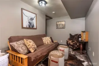 Lower Living Space With Storage Behind This Area