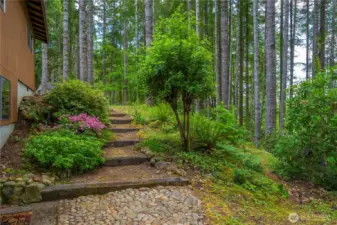 Mature, Beautiful Landscape