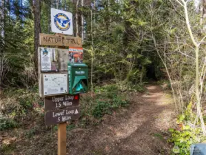 Trails