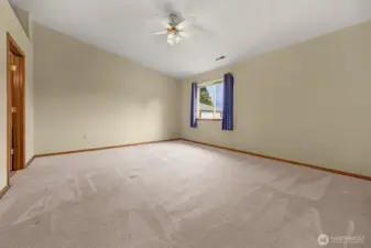 Spacious Primmary suite