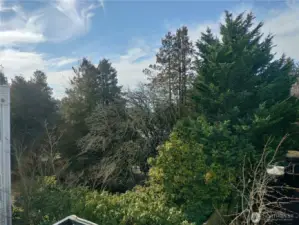 A very tranquil and peaceful westerly view from the deck.