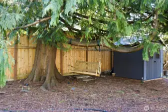 Backyard with tool shed