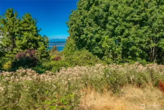 Tremendous view potential